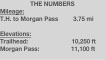 THE NUMBERS
Mileage:
T.H. to Morgan Pass         3.75 mi

Elevations:
Trailhead:                          10,250 ft
Morgan Pass:                   11,100 ft
    